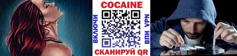 Купить закладки  Наро-Фоминск  Кокаин Эквадор 