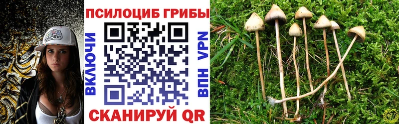 Купить  Наро-Фоминск  Галлюциногенные грибы мухоморы 
