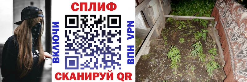 Купить закладки  Наро-Фоминск  Бошки марихуана конопля 